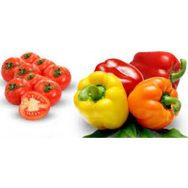Sugo pronto al pomodoro e peperoni - gr.350