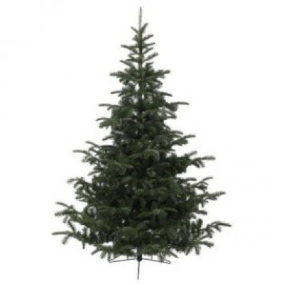 Albero di Natale cm.150 Pino Nordmann con base