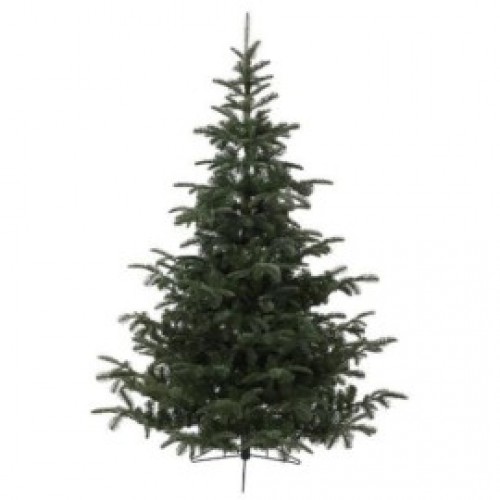 Albero natalizio cm.120 Nordmann con base