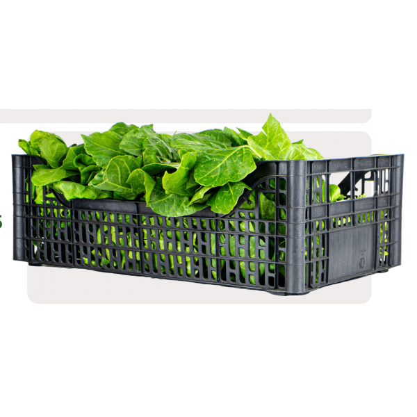 Cassette plastica per frutta riciclabili