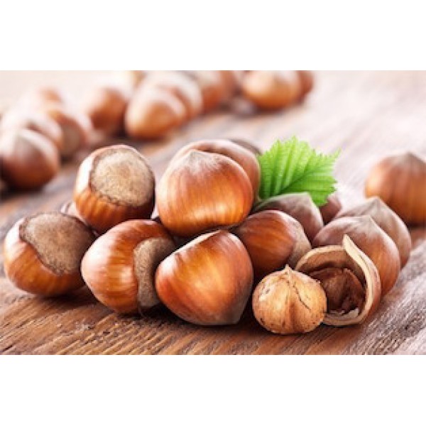 Croccantini di nocciole siciliane 1 Kg.