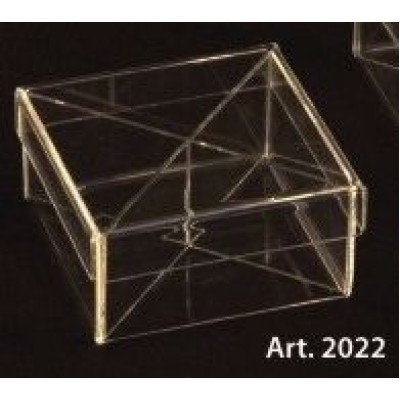 Scatola PLEXIGLASS quadrata per confetti con coperchio e divisori Pz.6 - mm.100X100X50