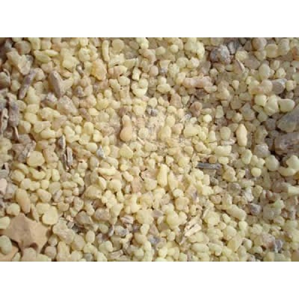 Incenso ETIOPE Purissimo Messer Boswellia Papyrifera in grani - gr.500