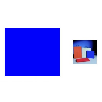 Tagliere rettangolo BLU con maniglia acciaio cm.30x20x1,5