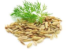 Wilde Fenchel in Bohnen - 50 gr. 3