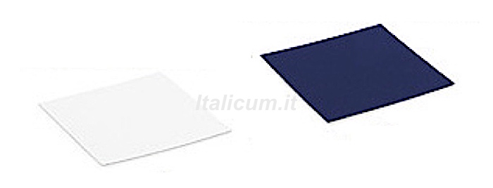 FLAT floor for clear boxes double use BLUE / WHITE mm.250x250 -5 Pcs.